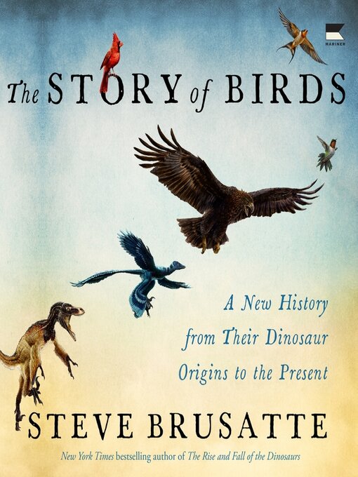 Cover image for The Story of Birds